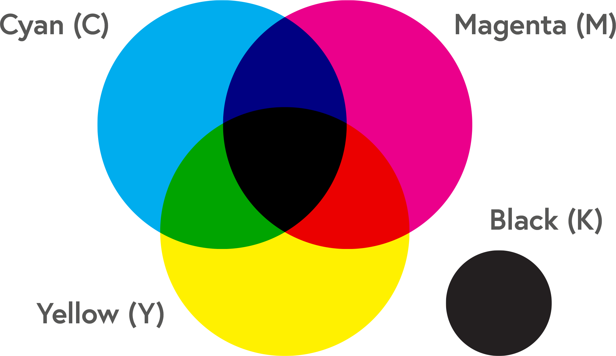 Jumlah Warna Cetak dan Pengaruhnya pada Harga